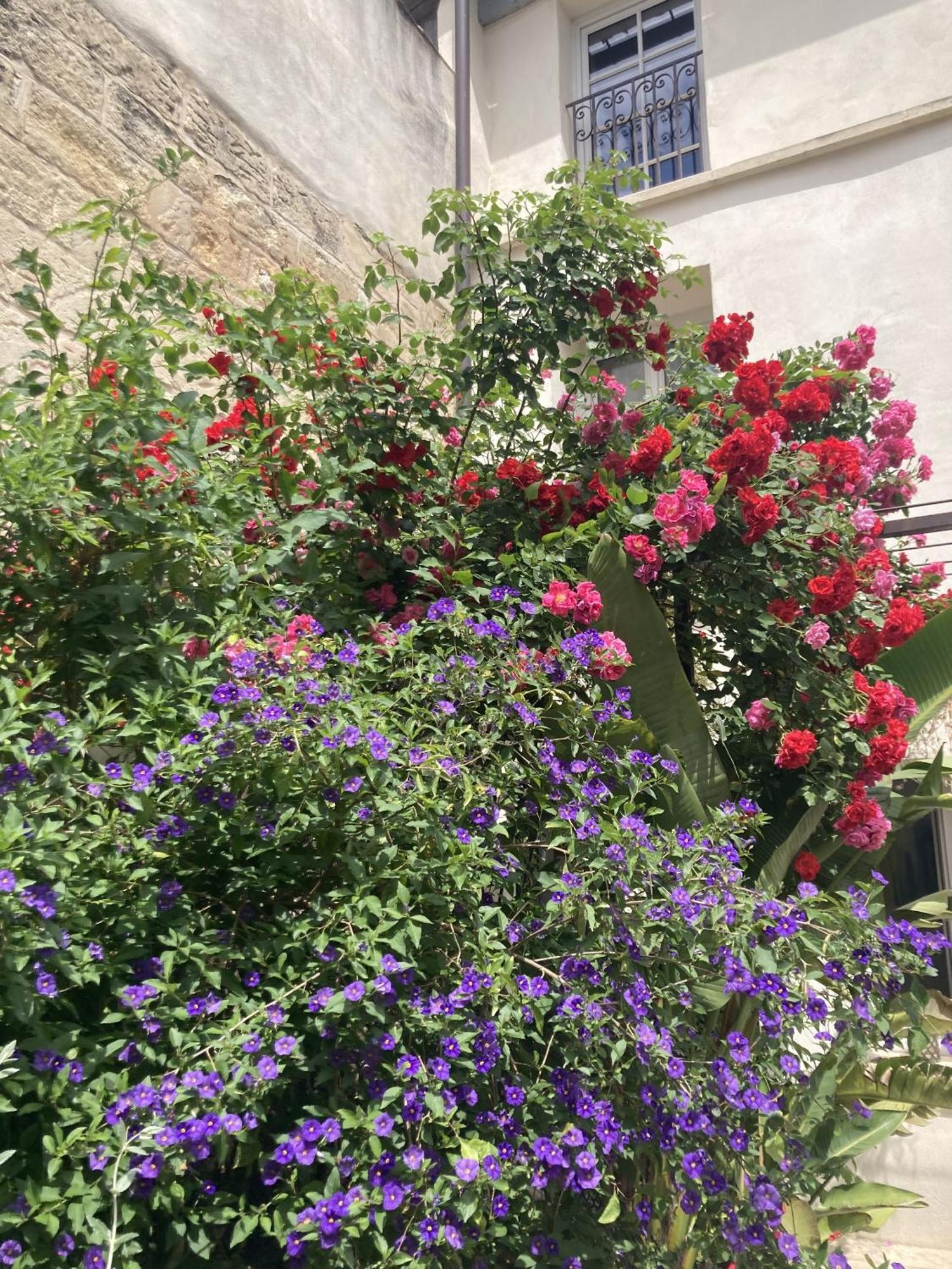 La Maison Des Augustins 4 Stars Spa Et Fitness Avignon Quarto foto