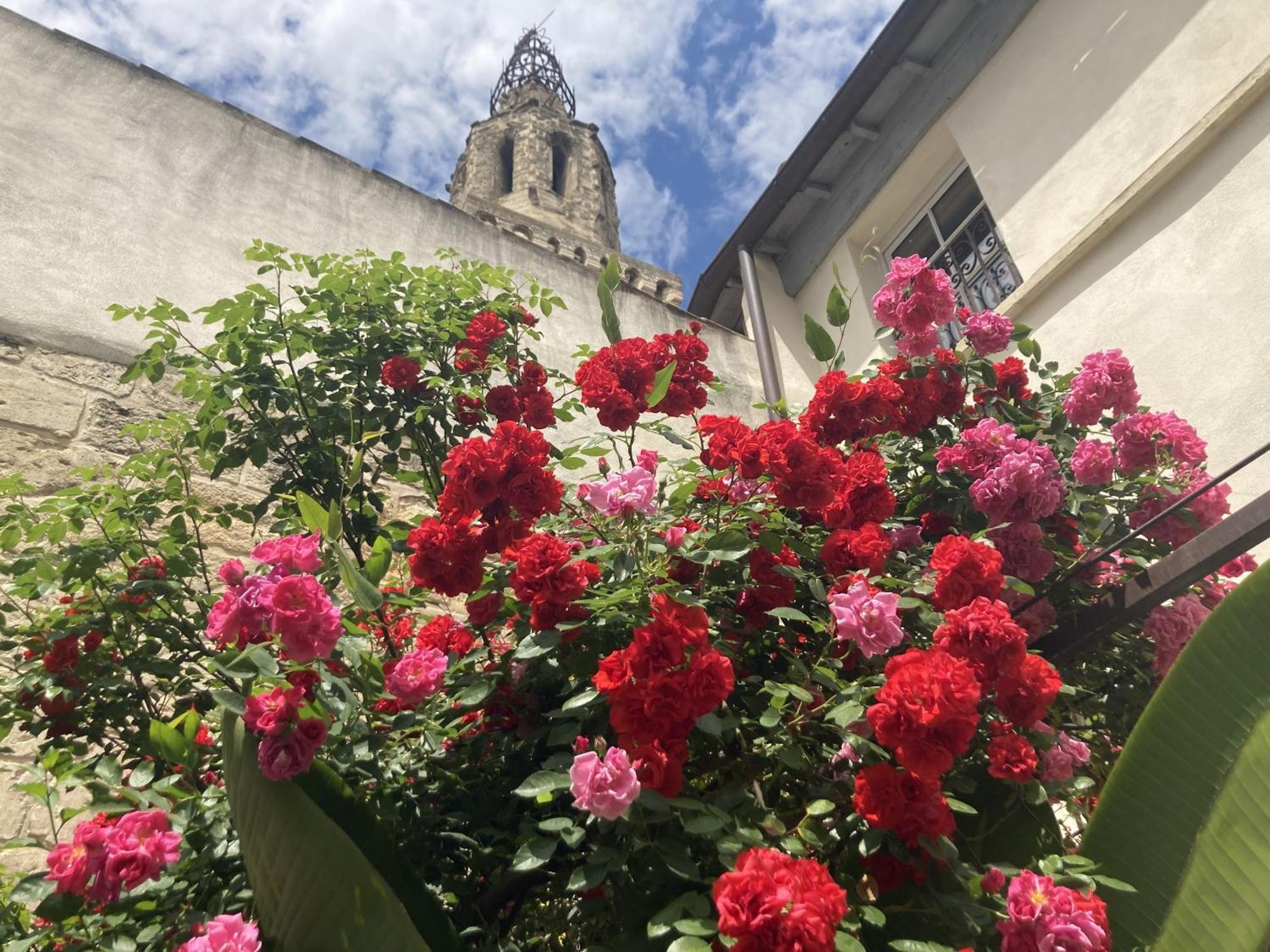 La Maison Des Augustins 4 Stars Spa Et Fitness Avignon Exterior foto